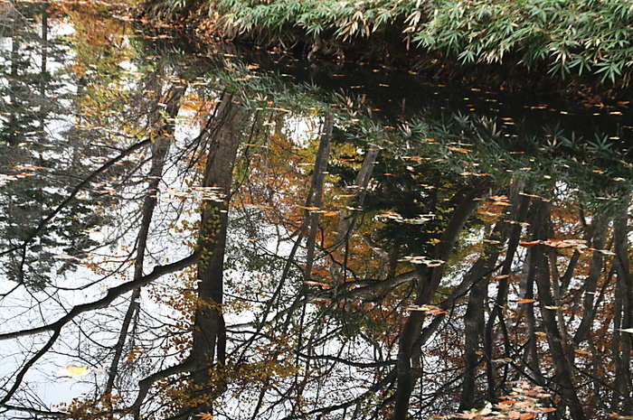 c0112479_2144868.jpg