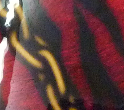a0182081_8401158.jpg