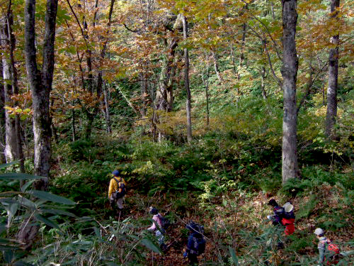 c0195281_9424960.jpg