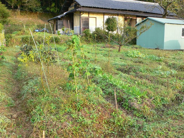 b0042882_014485.jpg