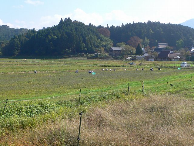 b0042882_0181381.jpg