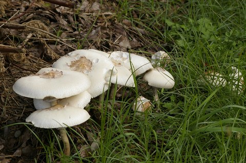 e0197884_1345723.jpg