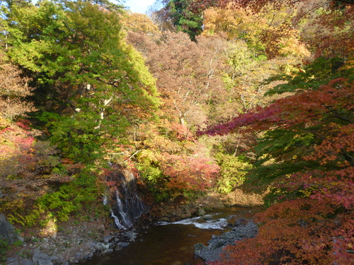 f0230992_14235694.jpg