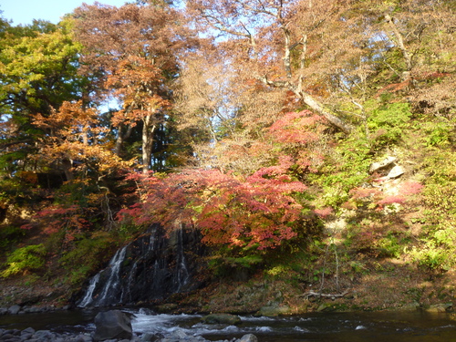 f0230992_1425331.jpg