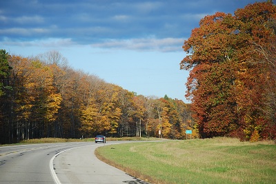 f0199394_7264722.jpg