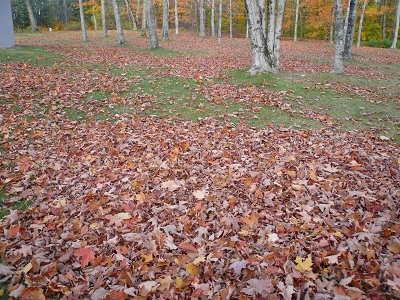 f0199394_730174.jpg