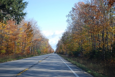f0199394_7311323.jpg