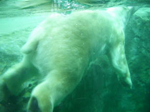 a0236996_1737921.jpg