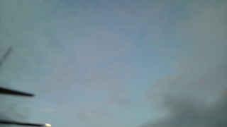 e0038796_2223675.jpg