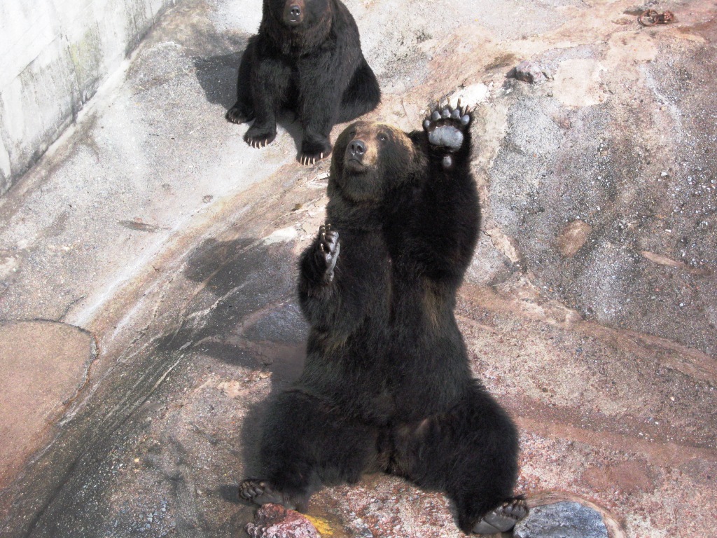 a0188897_21431079.jpg