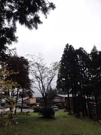 a0061599_820126.jpg
