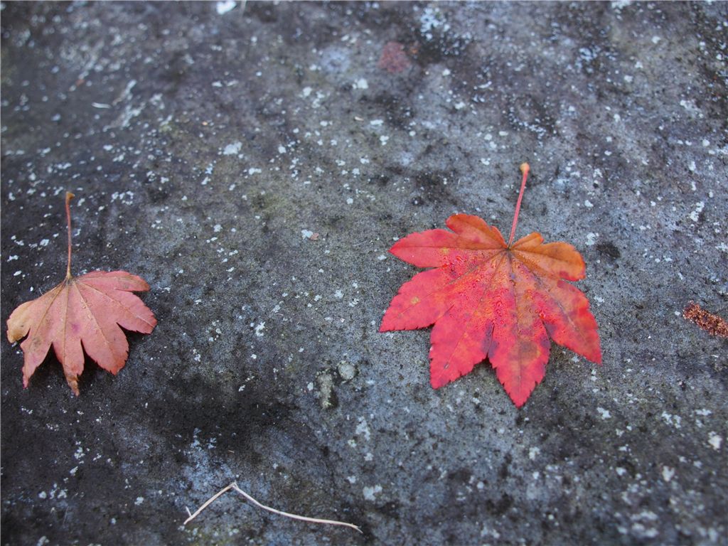 f0224100_6312414.jpg