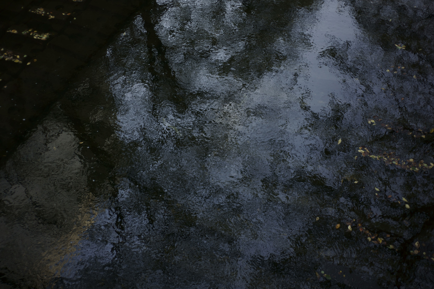 c0120903_1545754.jpg
