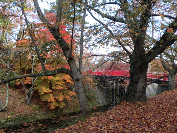 e0242504_5452415.jpg
