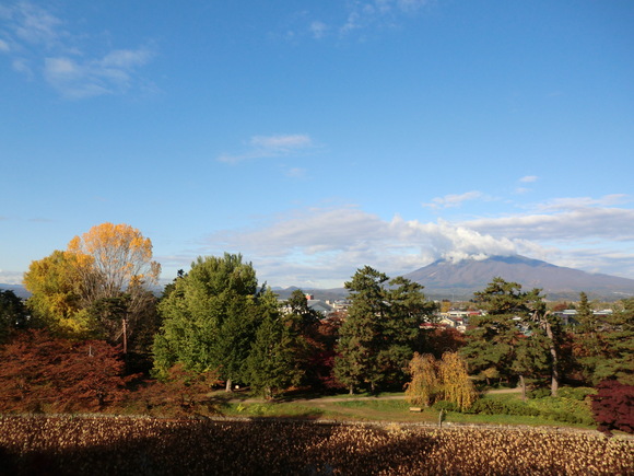 e0242504_552029.jpg