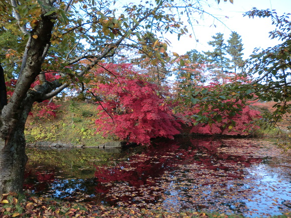 e0242504_55752100.jpg