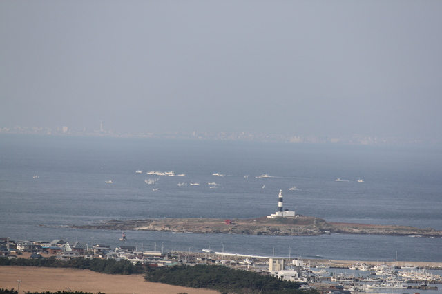 d0149105_1654219.jpg