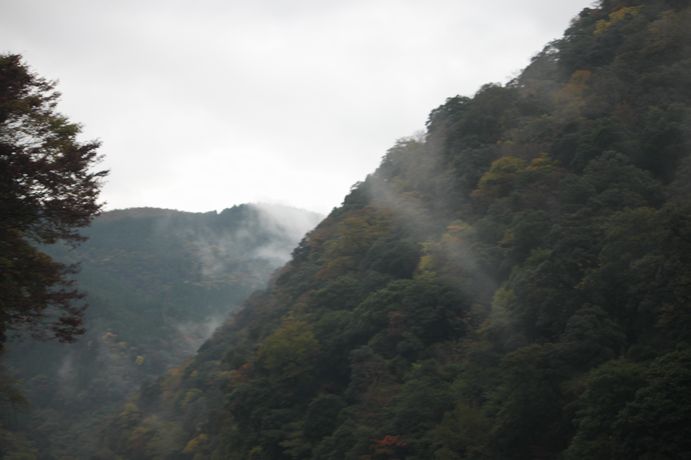 b0176210_129628.jpg