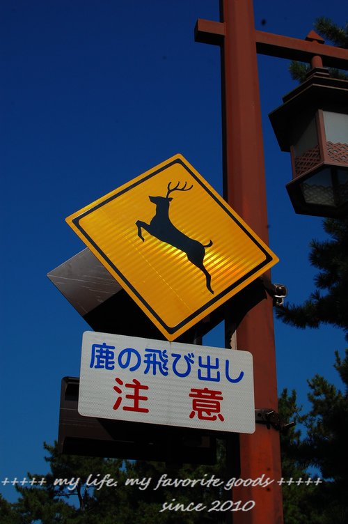 e0214513_21171551.jpg