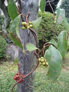 f0139520_21214067.jpg