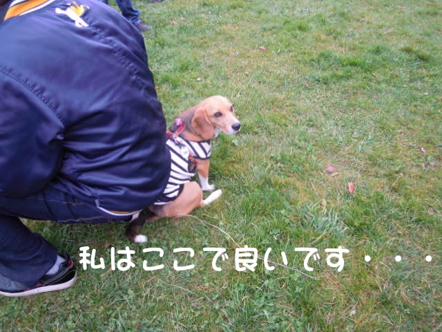 c0166622_9482553.jpg