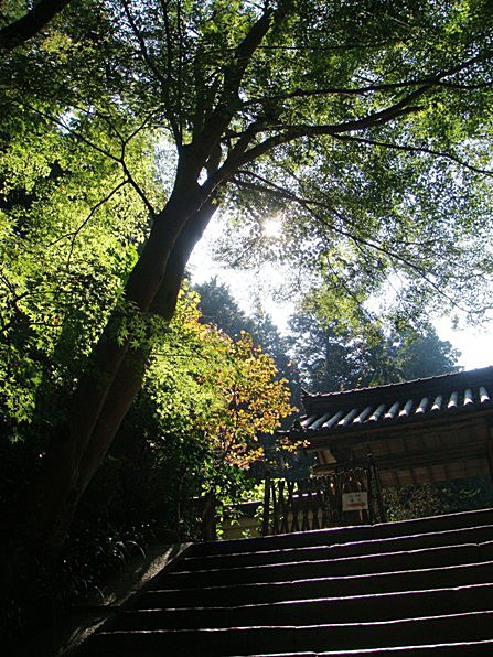 b0068423_15543375.jpg