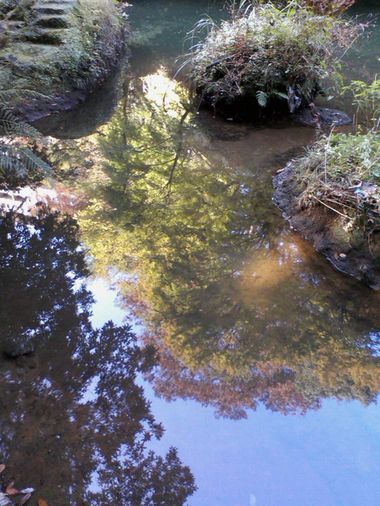 c0152123_23432022.jpg