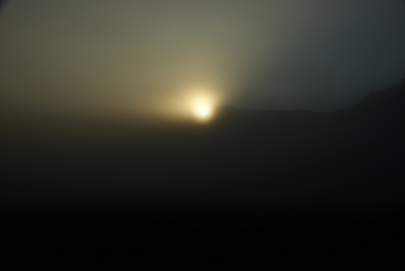b0062024_19271367.jpg