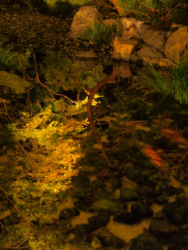 d0252924_1424989.jpg