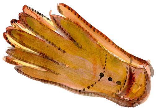 f0135024_1444647.jpg