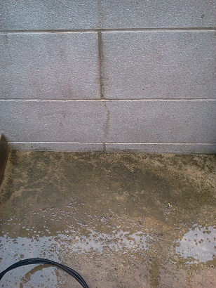 e0087725_13342593.jpg