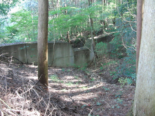 f0111128_20472260.jpg