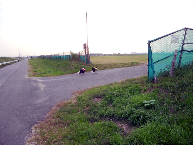 d0059230_826176.jpg