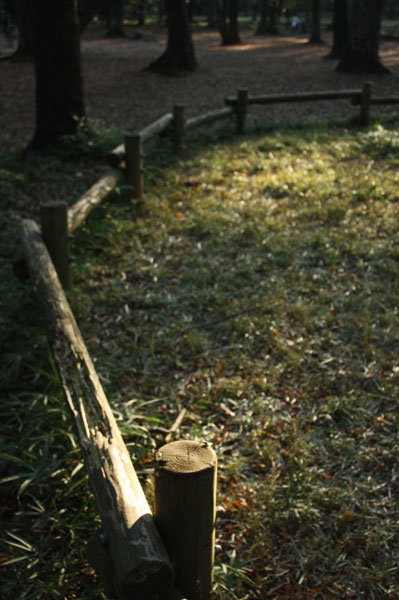 f0078132_444334.jpg