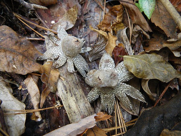 f0118332_2114080.jpg