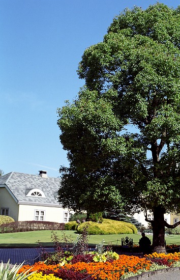 d0001533_2118917.jpg
