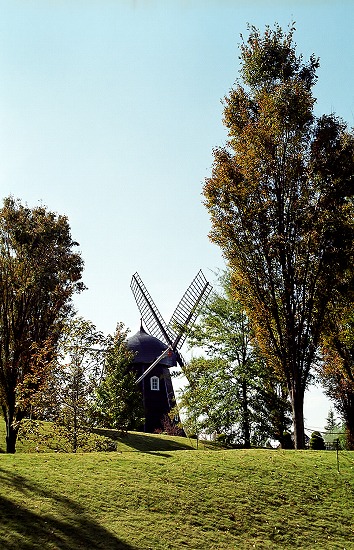 d0001533_21193473.jpg