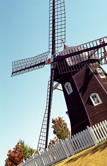 d0001533_2119486.jpg
