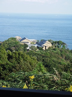 d0125335_2158214.jpg