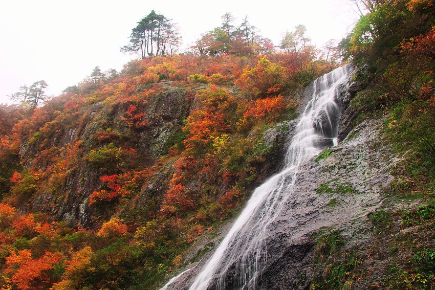 c0211639_22364332.jpg
