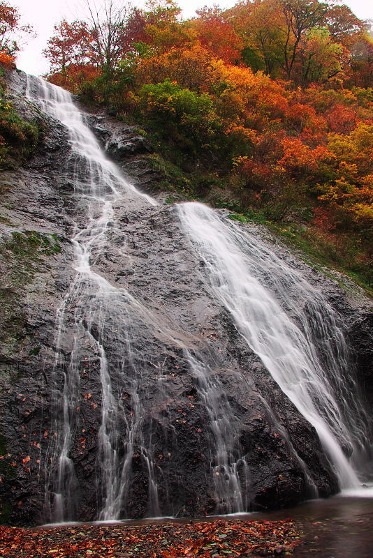 c0211639_2237194.jpg