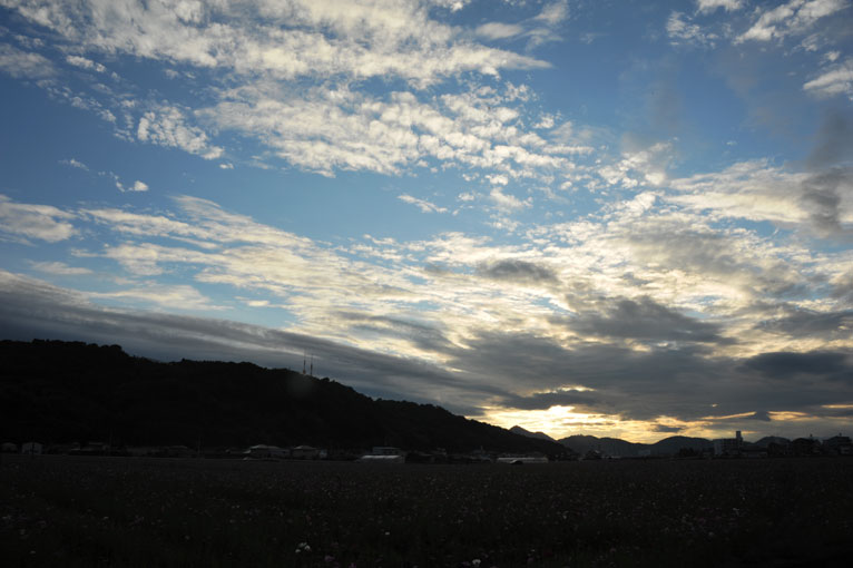 b0075541_271328.jpg