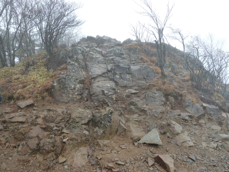 b0190242_20484450.jpg