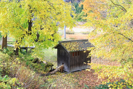 c0122445_8422747.jpg
