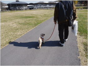 b0182846_14581782.gif