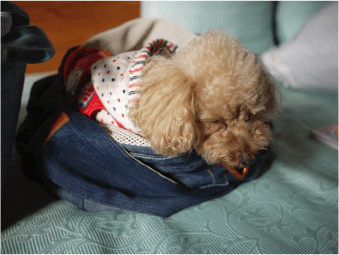 b0182846_14591088.gif