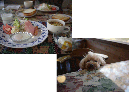 b0182846_15014100.gif