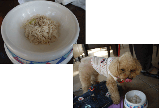 b0182846_1504210.gif
