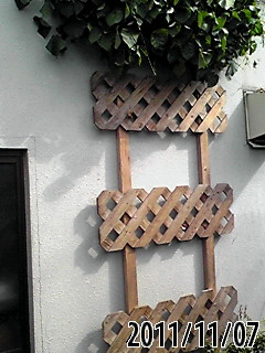 b0200747_73196.jpg