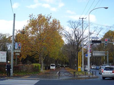 a0156548_144121.jpg